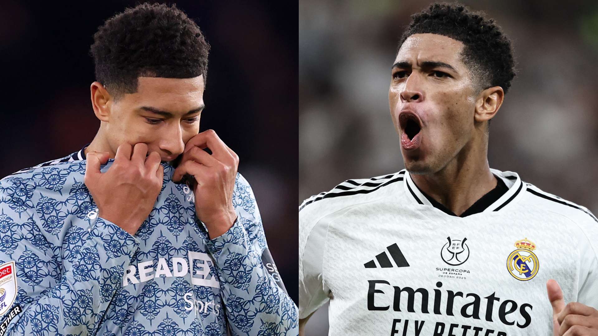 两大新星的 两大新星的