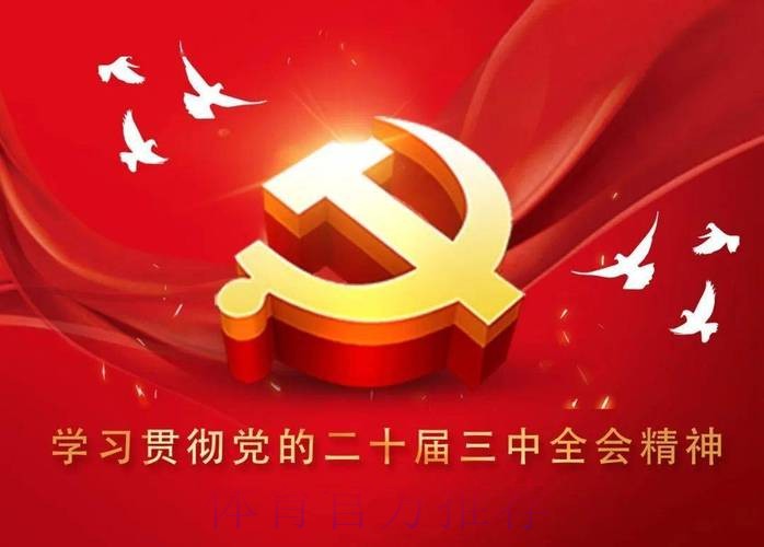 以党的二十届四中全会精神为引领 推动体育强国建设迈上新台阶